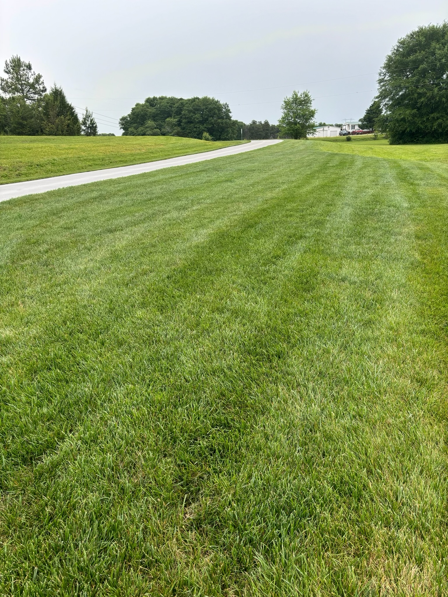 High Quality Weed Control in Inman, SC